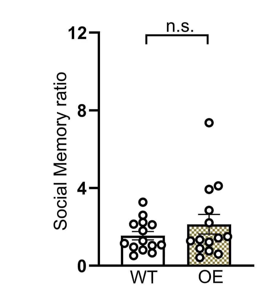 Open access visualization of Bar Plot, Scatter Plot, Error Bars, Myl9, Mustn1