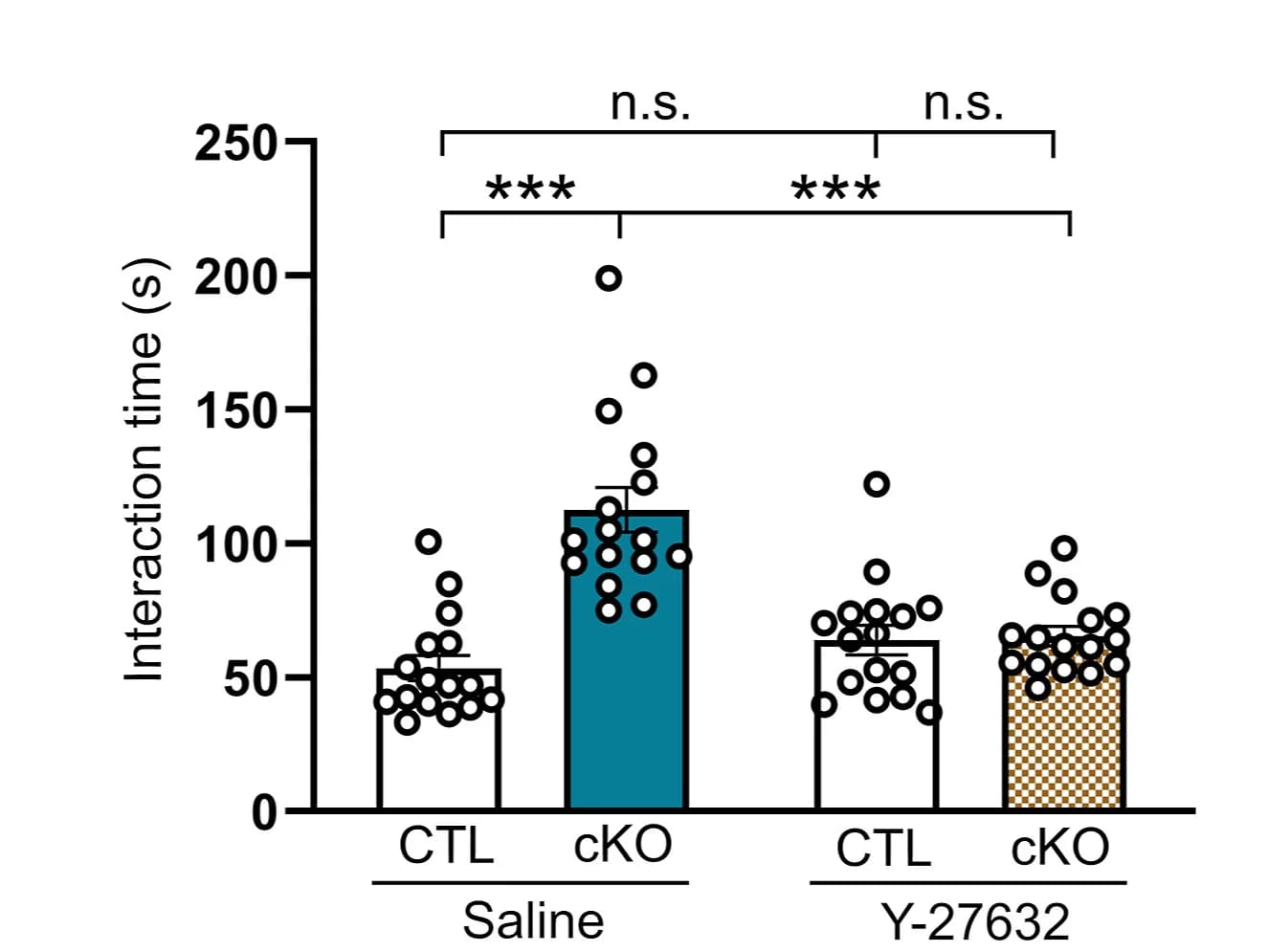 Open access visualization of Bar Plot, Error Bars, Scatter Plot, Y-27632, Hypersocial Behavior