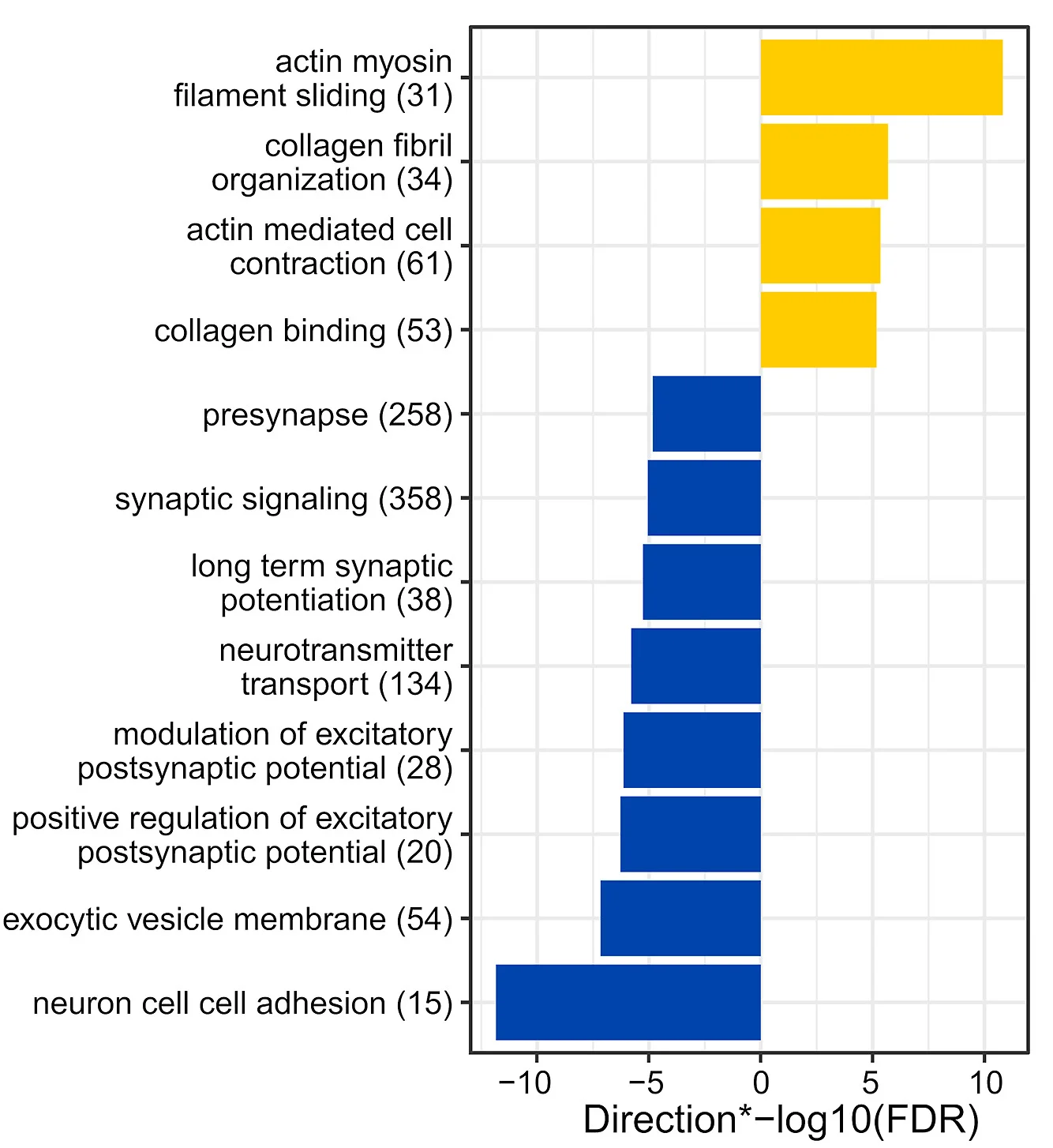 Open access visualization of Bar Plot, Gene Ontology, RNA Sequencing, iNeurons, WBS Deletion