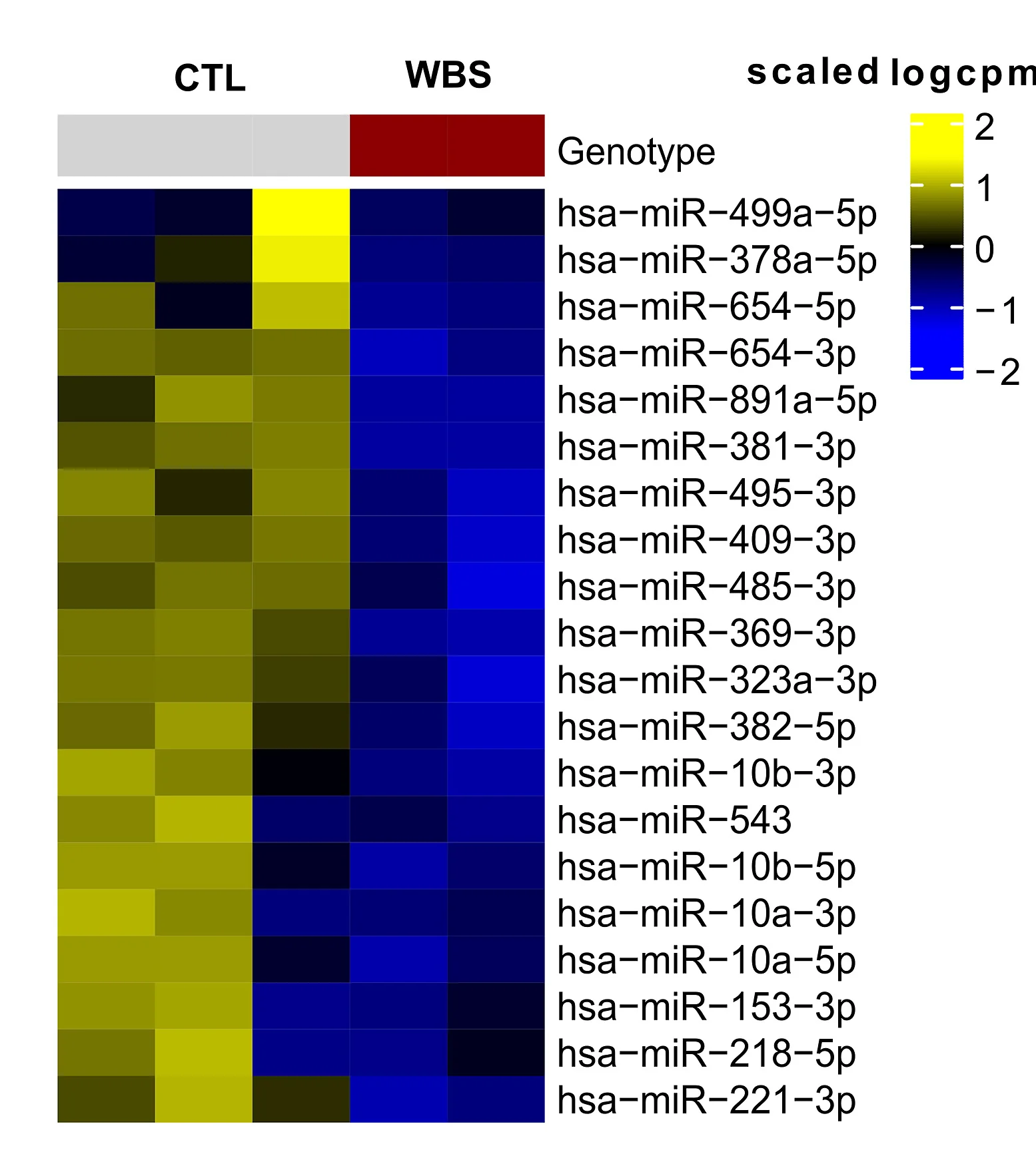 Open access visualization of Heatmap, Small RNA-seq, iNeurons, Volcano Plot, miRNAs