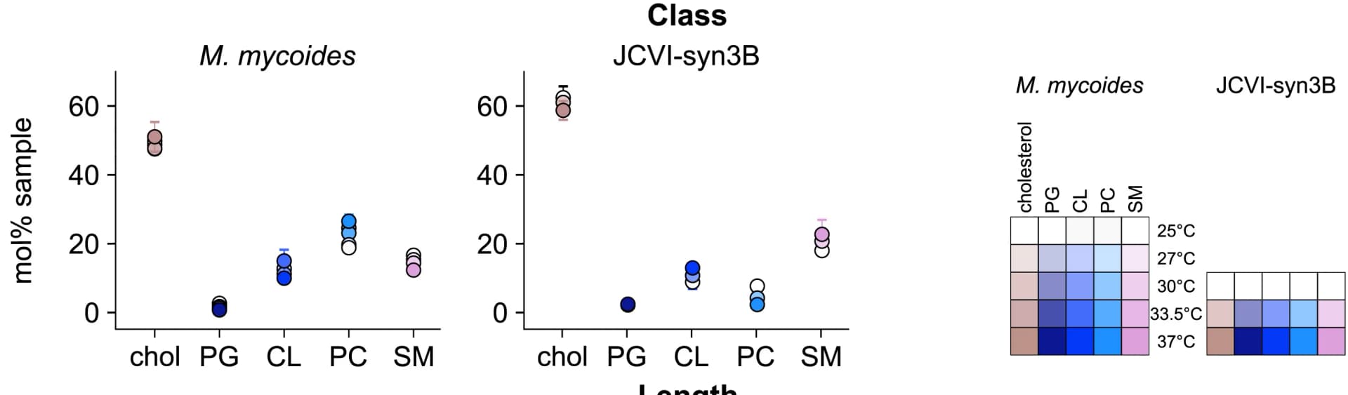 Open access visualization of Scatter Plot, Error Bars, Heatmap, Lipid Class, Mycoplasma