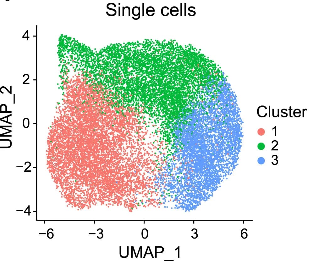 Open access visualization of Scatter Plot, UMAP, UMAP Embedding, Single Cells, Unsupervised Clusters