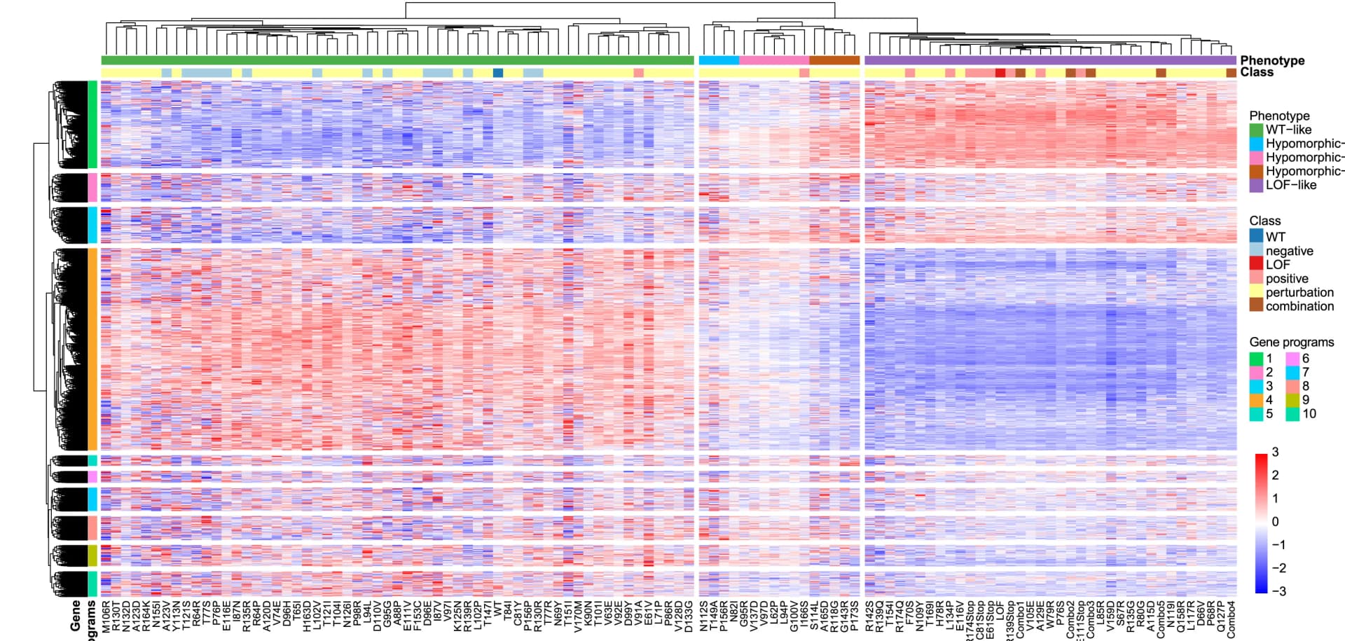 Open access visualization of Heatmap, Clustered, Hierarchical Clustering, Variants, Gene Expression