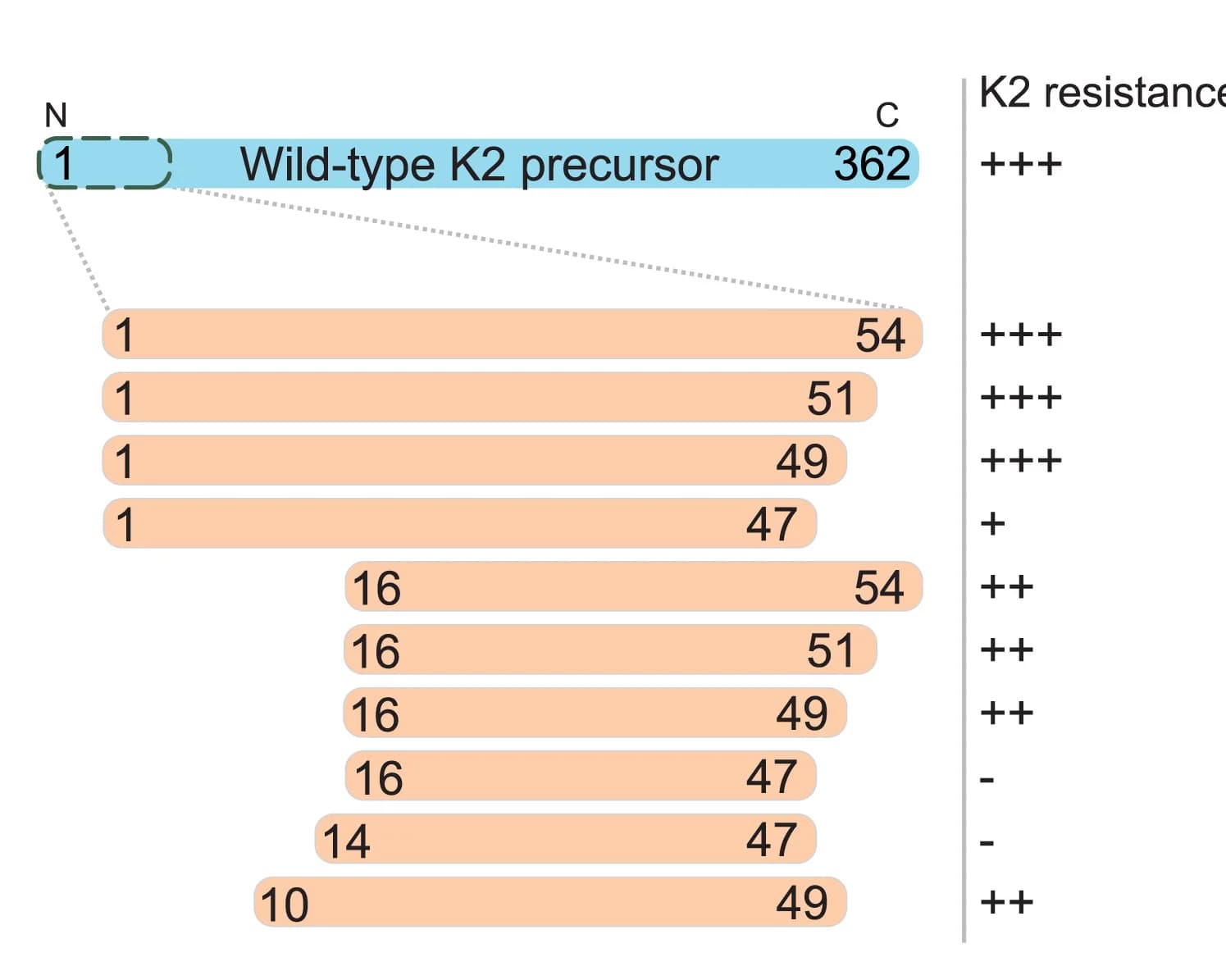 Open access visualization of Bar Plot, Growth Dynamics, K2 Toxin, Protein Expression Levels, Galactose