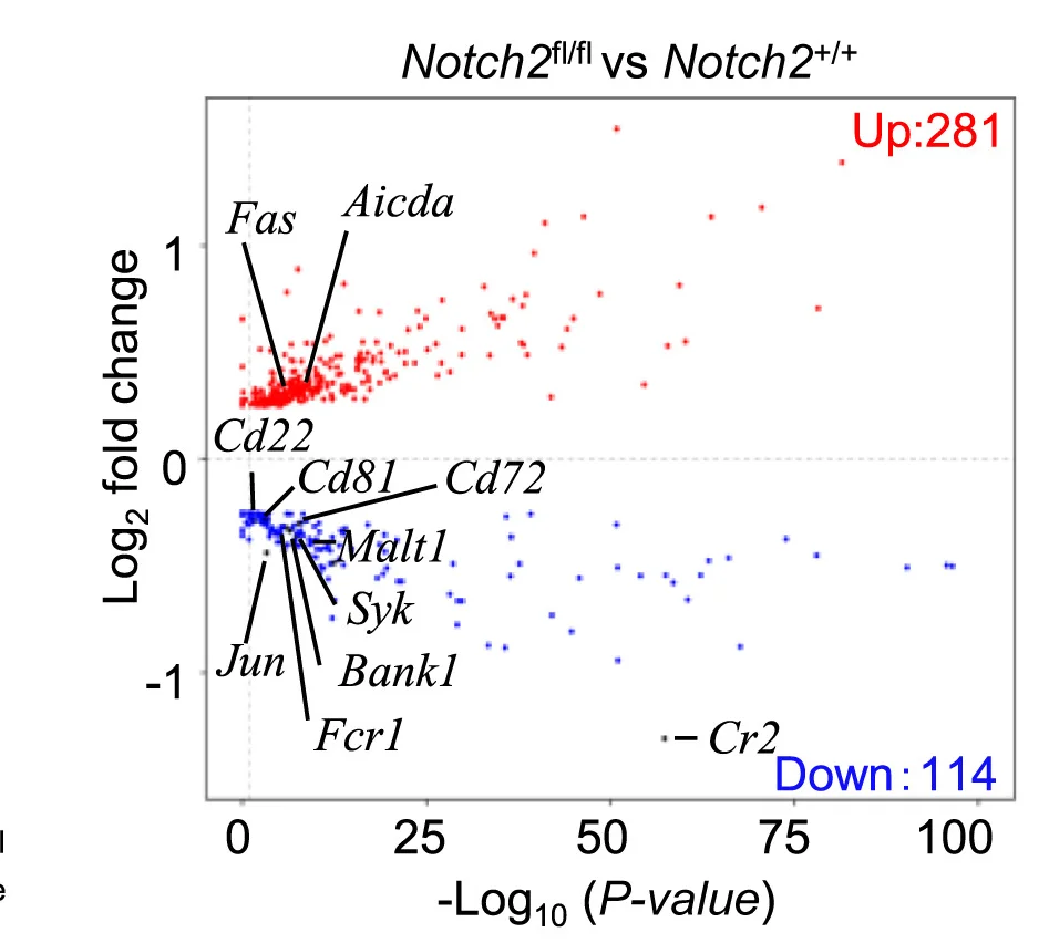 Open access visualization of Volcano Plot, Scatter Plot, Scatterplot, Up-regulated Genes, Down-regulated Genes
