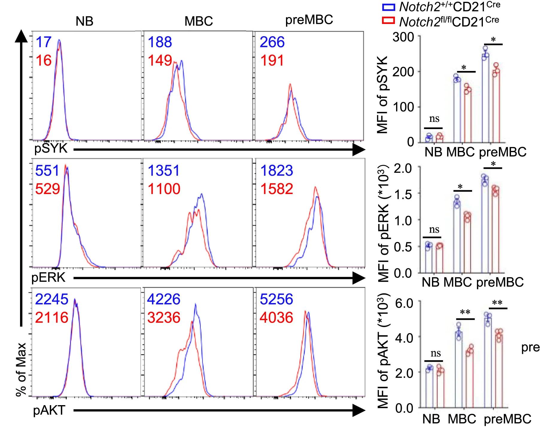 Open access visualization of Line Plot, Bar Plot, Scatter Plot, FACS plots, p-SYK