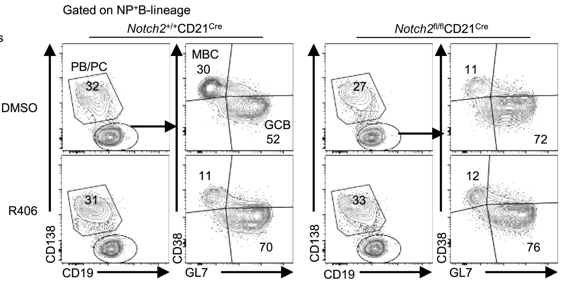 Open access visualization of Scatter Plot, FACS plots, B-lineage Cells, NP+ Cells