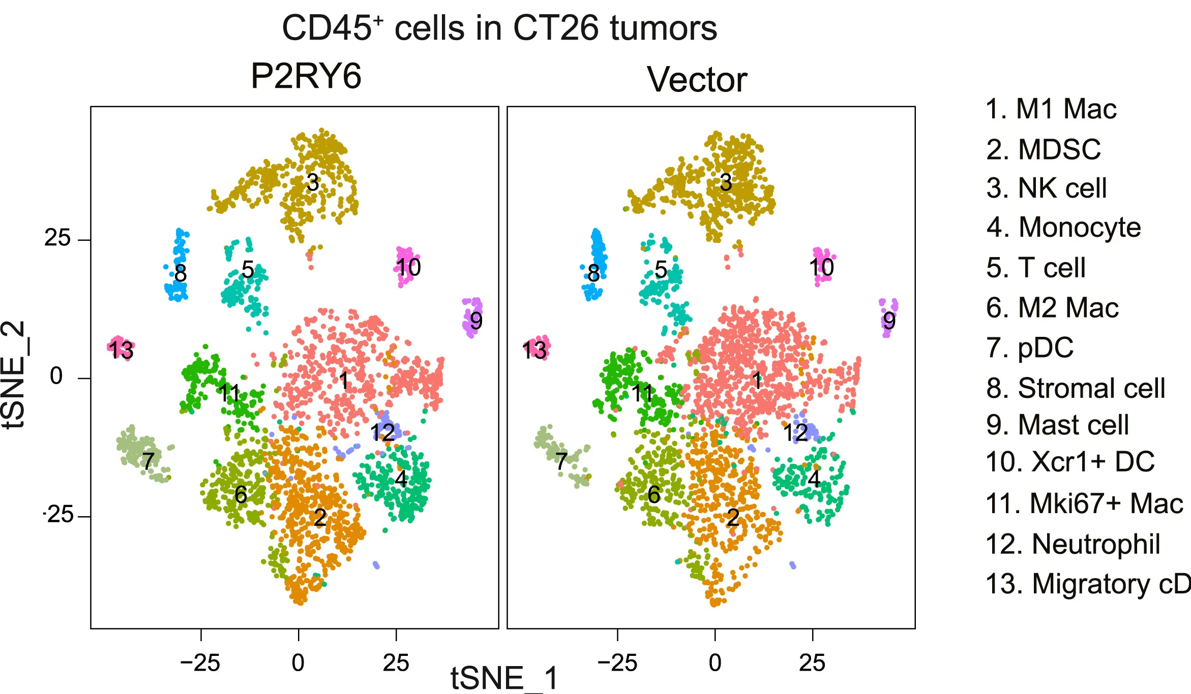 Open access visualization of Scatter Plot, UMAP, PCA, t-SNE Plots, Tumor-infiltrating CD45+ Cells