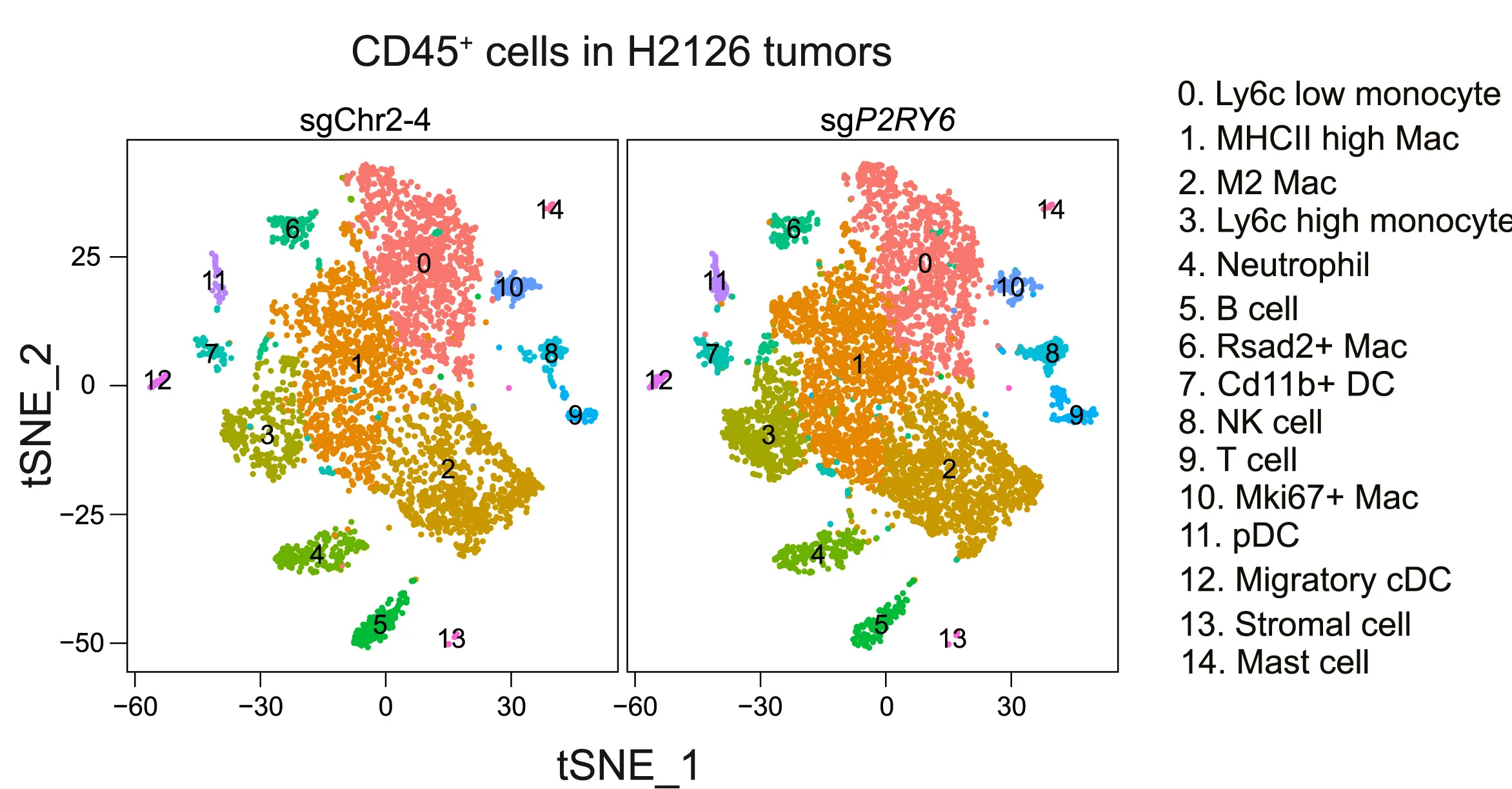 Open access visualization of Scatter Plot, UMAP, PCA, t-SNE, Tumor-infiltrating Cells