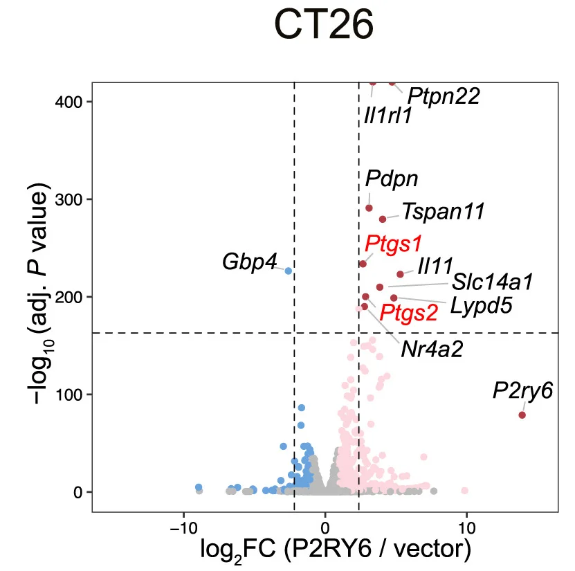 Open access visualization of Volcano Plot, Scatter Plot, RNA-Seq, Volcano Plots, Differentially Expressed Genes
