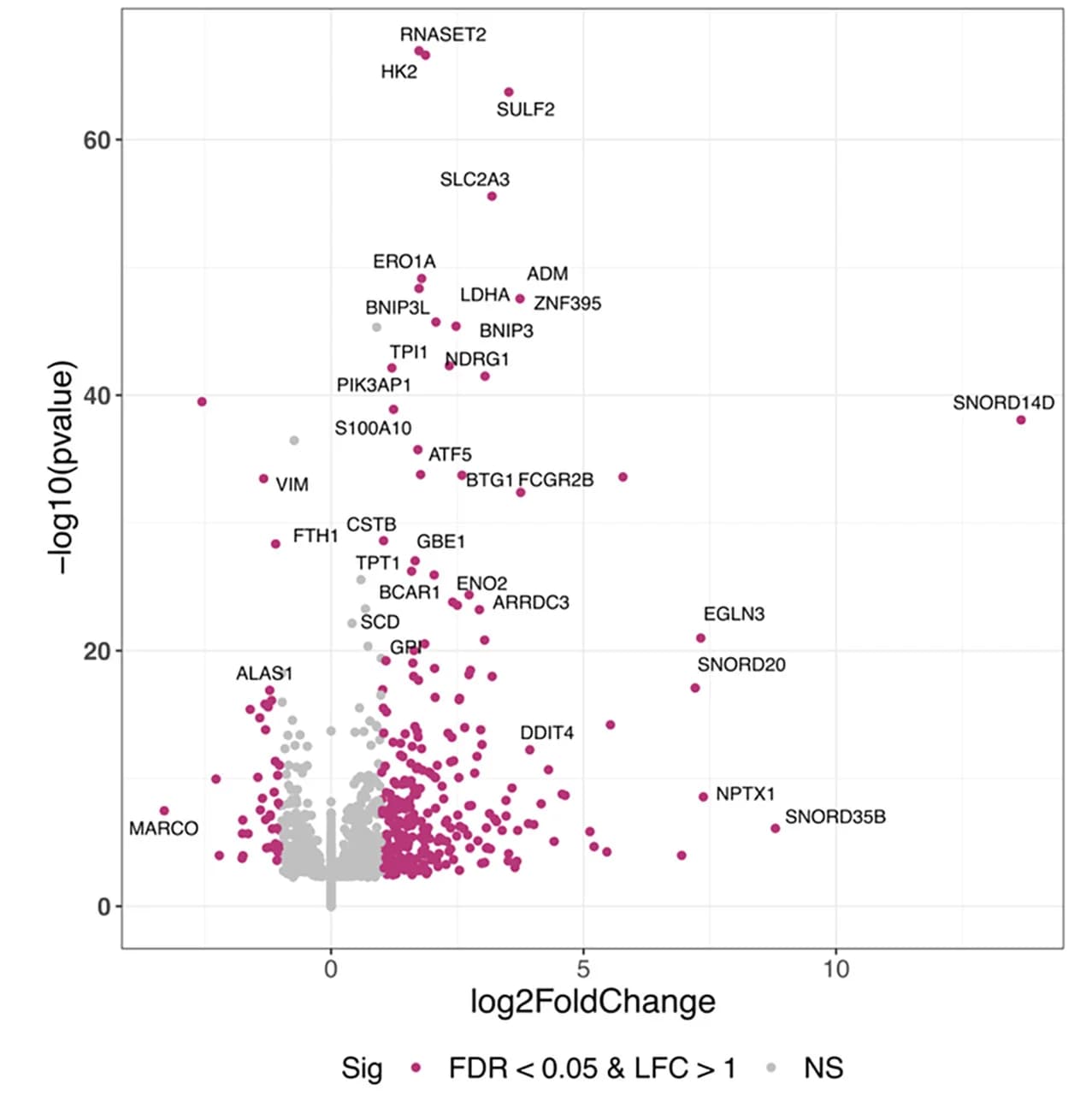 Open access visualization of Volcano Plot, mRNA Expression, Macrophages, Hypoxia, Normoxia