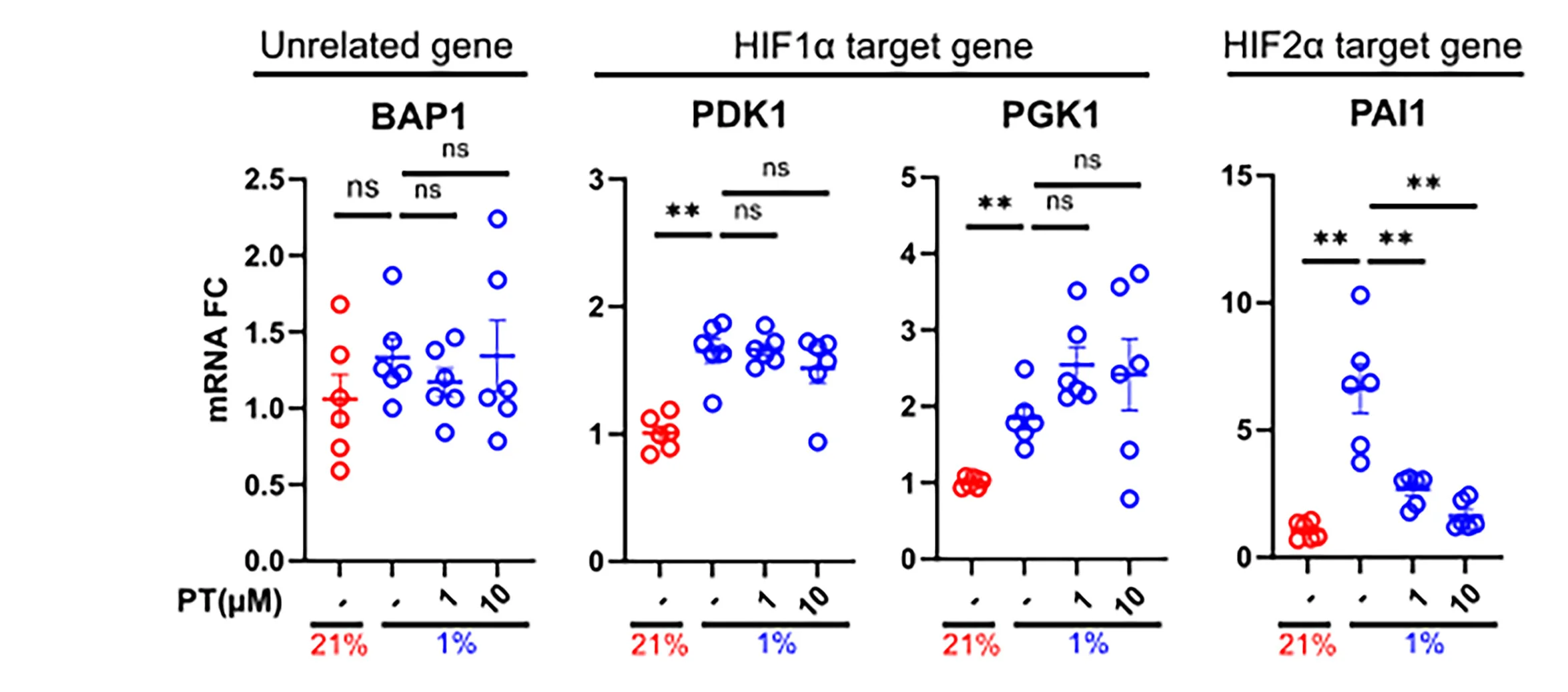 Open access visualization of Scatter Plot, Error Bars, MDMs, PT-2385, HIF2 Antagonist