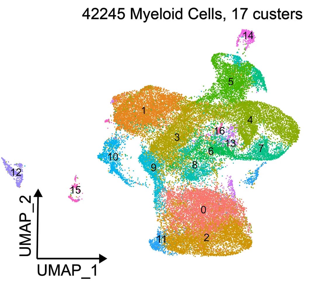 Open access visualization of Scatter Plot, UMAP, Single-Cell RNA-Seq, Myeloid Cells, Transcriptomes