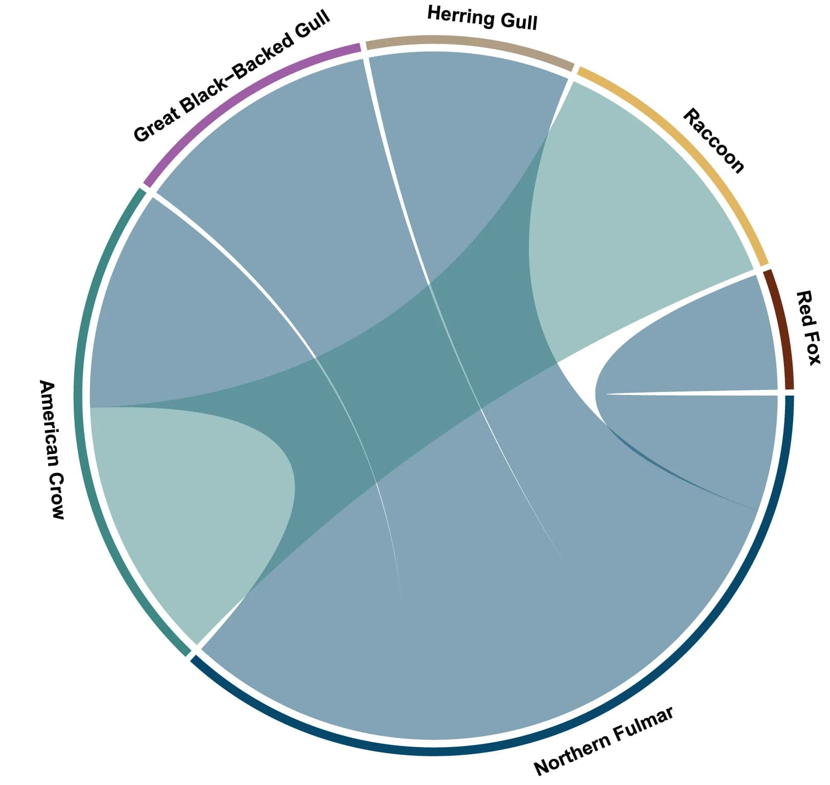 Open access visualization of Chord, Network, Chord Diagram, Host Transition, A(H5N5) Isolates