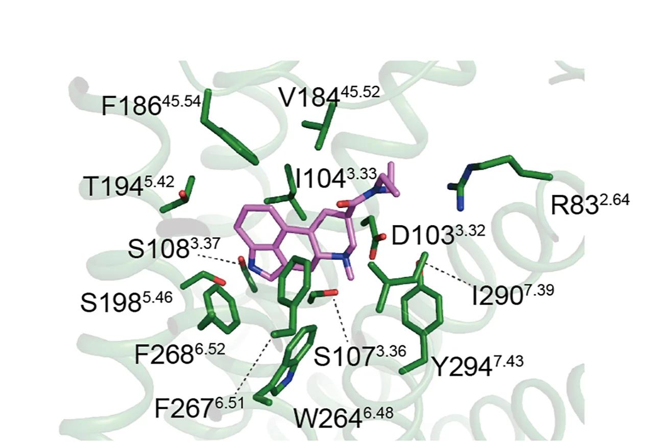 Open access visualization of Protein Structure, Chemical Structure, Molecular Interactions, LSD, TAAR1