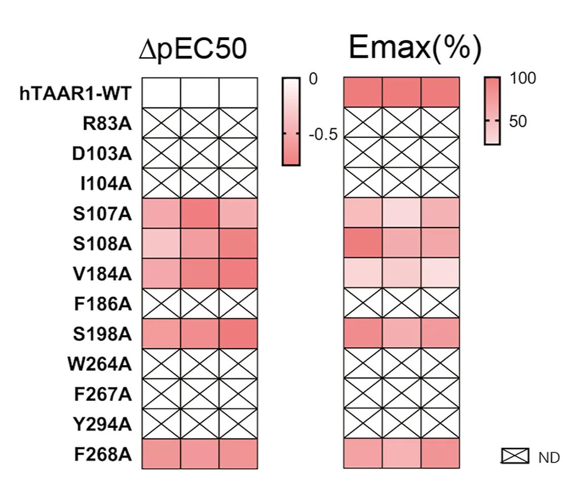 Open access visualization of Heatmap, Mutations, Ligand-Binding Pocket, TAAR1, LSD