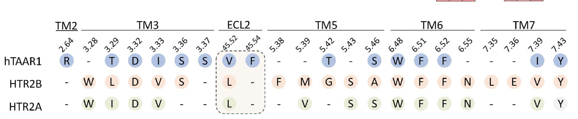 Open access visualization of Workflow, Illustration, Table Image, Barcode Representation, Interaction Patterns