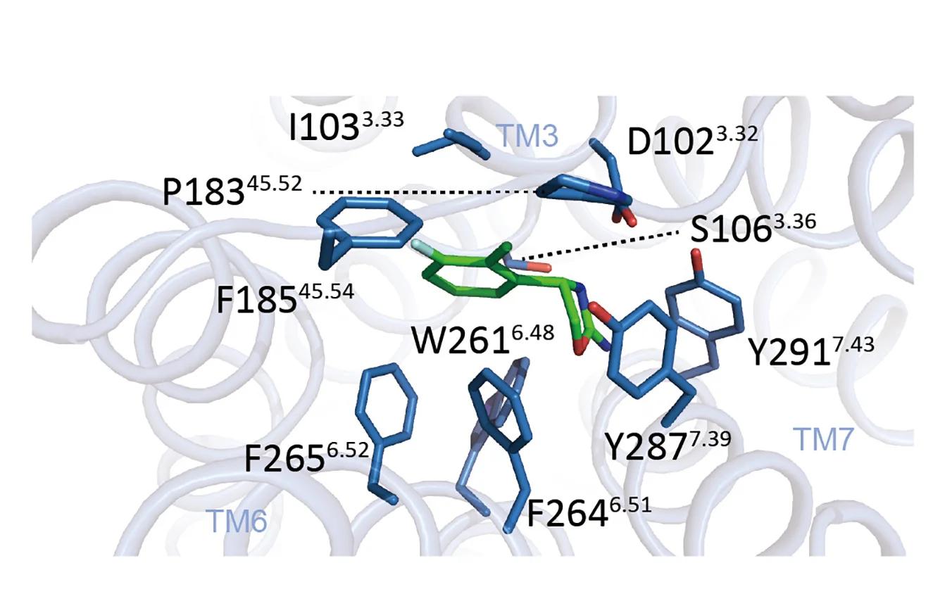 Open access visualization of Protein Structure, Chemical Structure, Key Residues, RO5263397, Binding Pocket