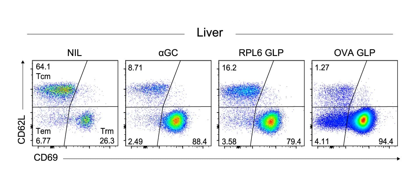 Open access visualization of Scatter Plot, FACS plots, Trm cells, Tem cells, Tcm cells