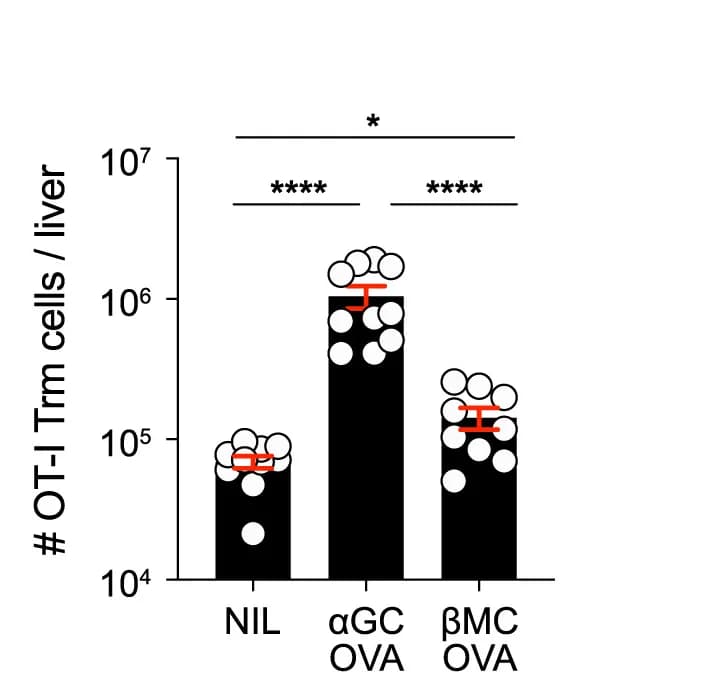 Open access visualization of Bar Plot, Error Bars, OT-I cells, Trm cells, Liver