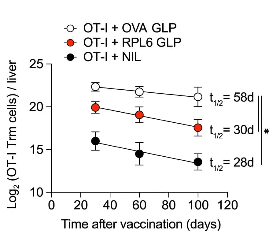 Open access visualization of Line Plot, Error Bars, OT-I cells, Trm cells, Vaccination