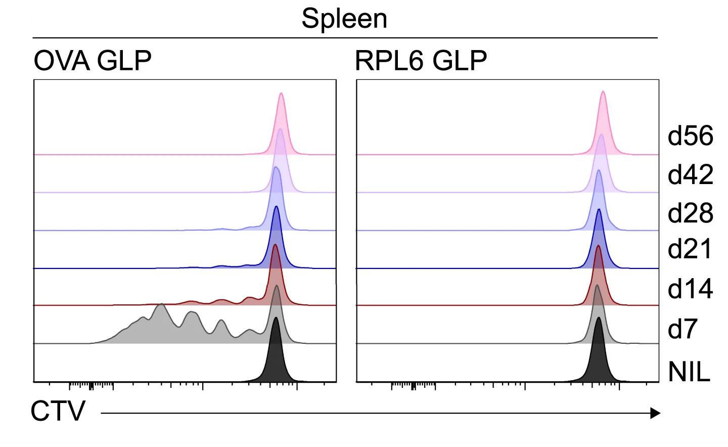 Open access visualization of Line Plot, Density Plot, Ridge Plot, Mice, OVA GLP