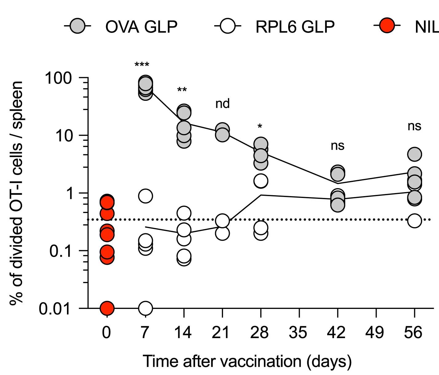 Open access visualization of Line Plot, Scatter Plot, Mice, OVA GLP, RPL6 GLP Vaccine