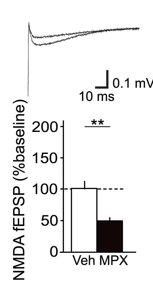 Open access visualization of Bar Plot, Error Bars, Line Plot, MPX-004, NMDAR-fEPSP