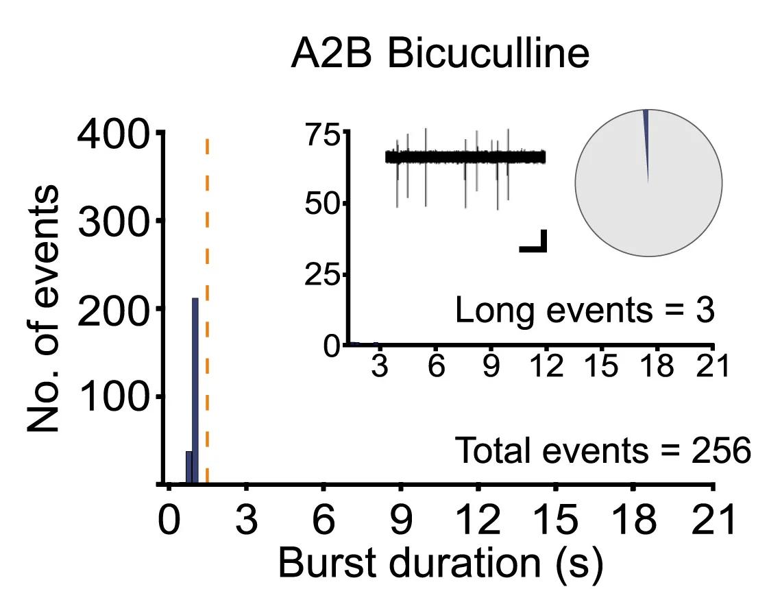 Open access visualization of Histogram, Pie Chart, Line Plot, Bicuculline, GluN2A2BCTD Mice