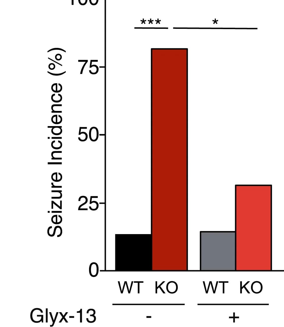 Open access visualization of Bar Plot, AGS Incidence, Saline, Fmr1KO Mice, WT Mice