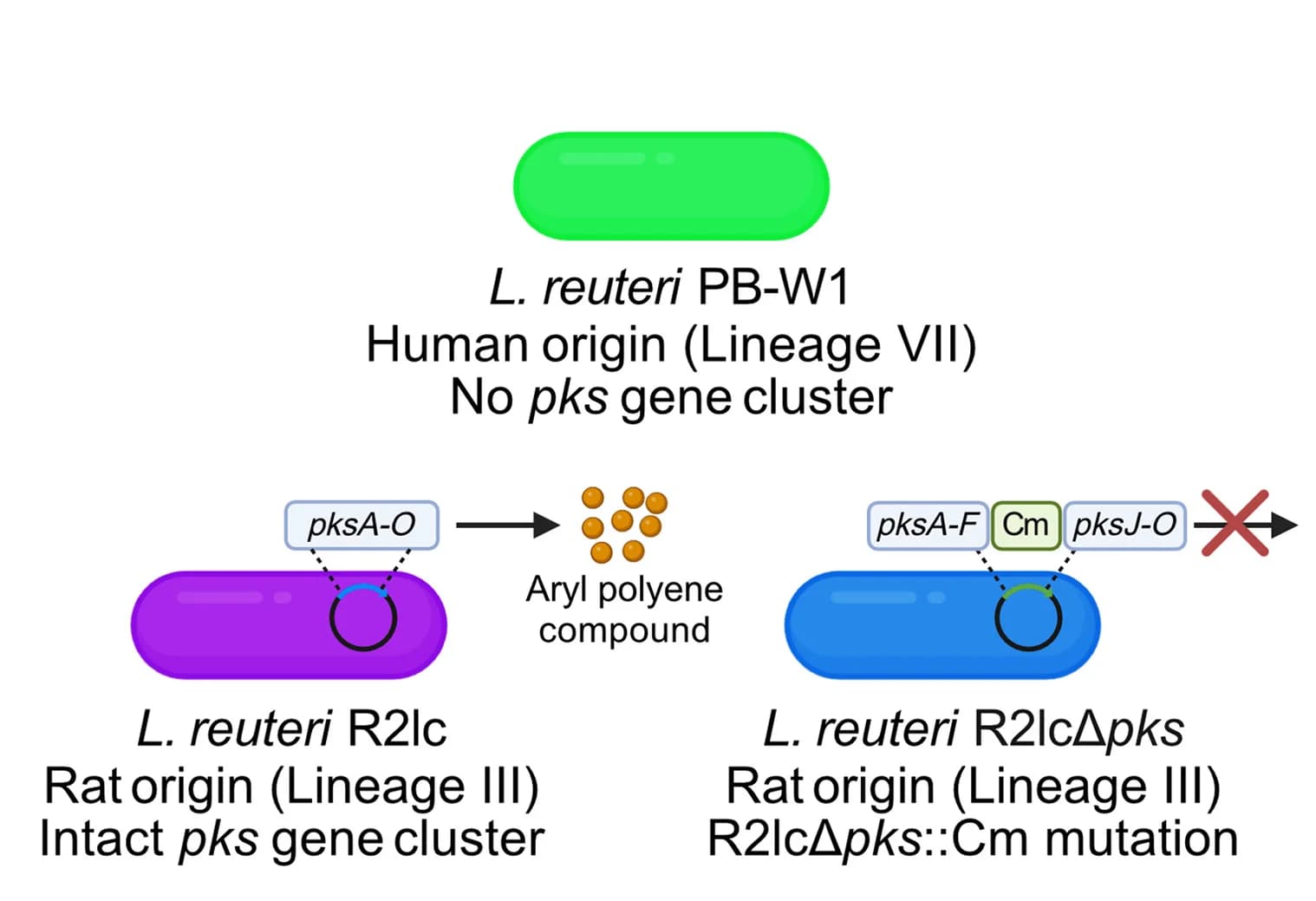 Open access visualization of Workflow, Illustration, Strains