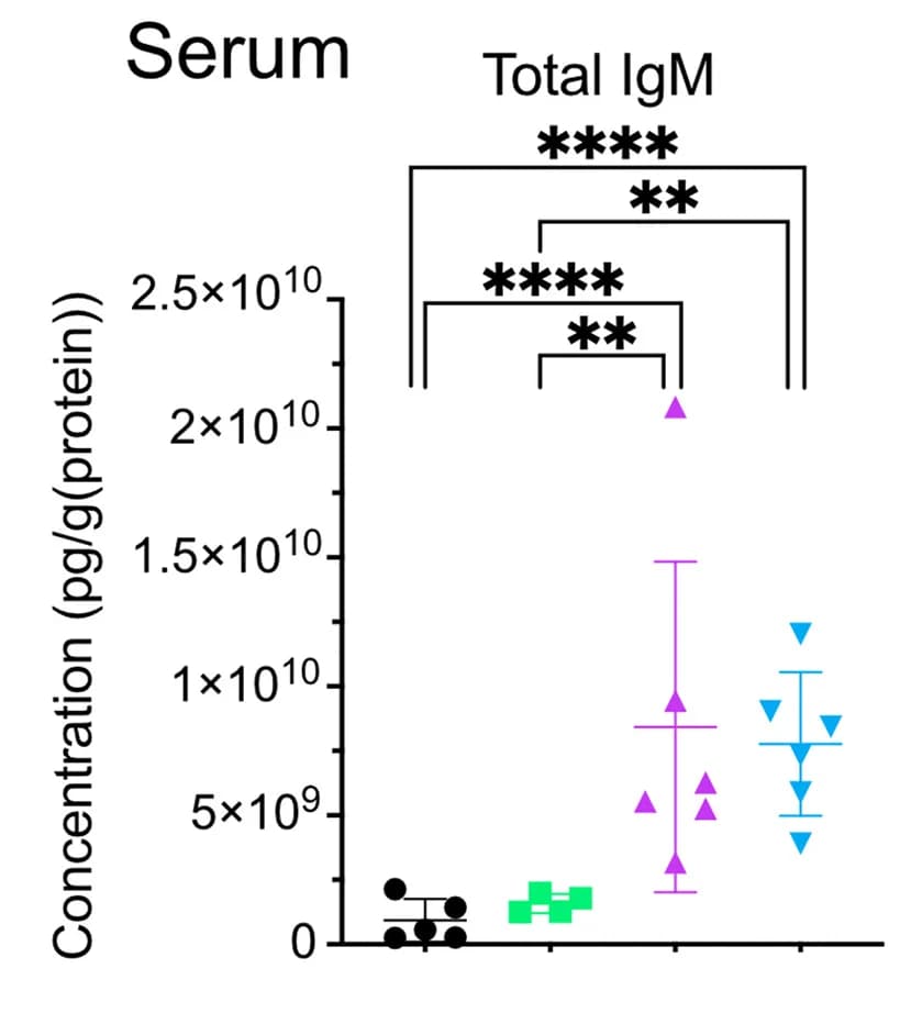 Open access visualization of Scatter Plot, Error Bars, IgM, Protein Extracts, Serum Samples