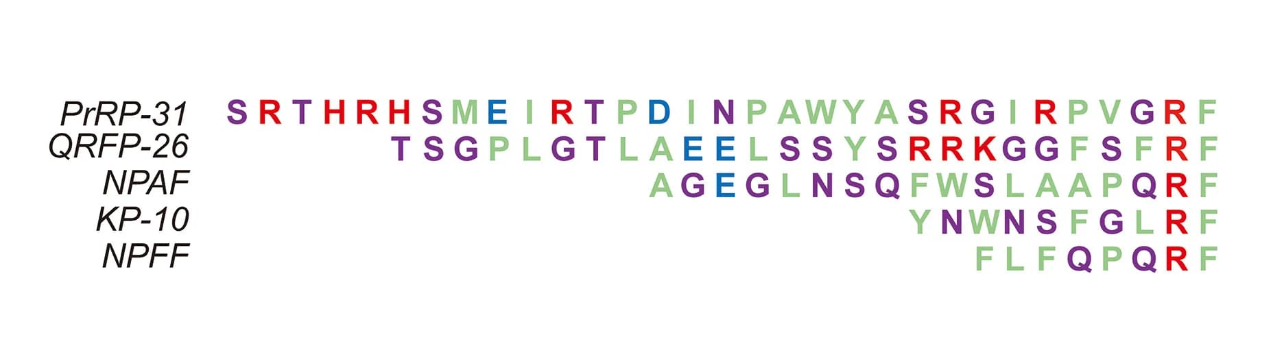 Open access visualization of Chemical Structure, Table Image, Sequence Alignment, RF-amide Peptides, Conserved Segment