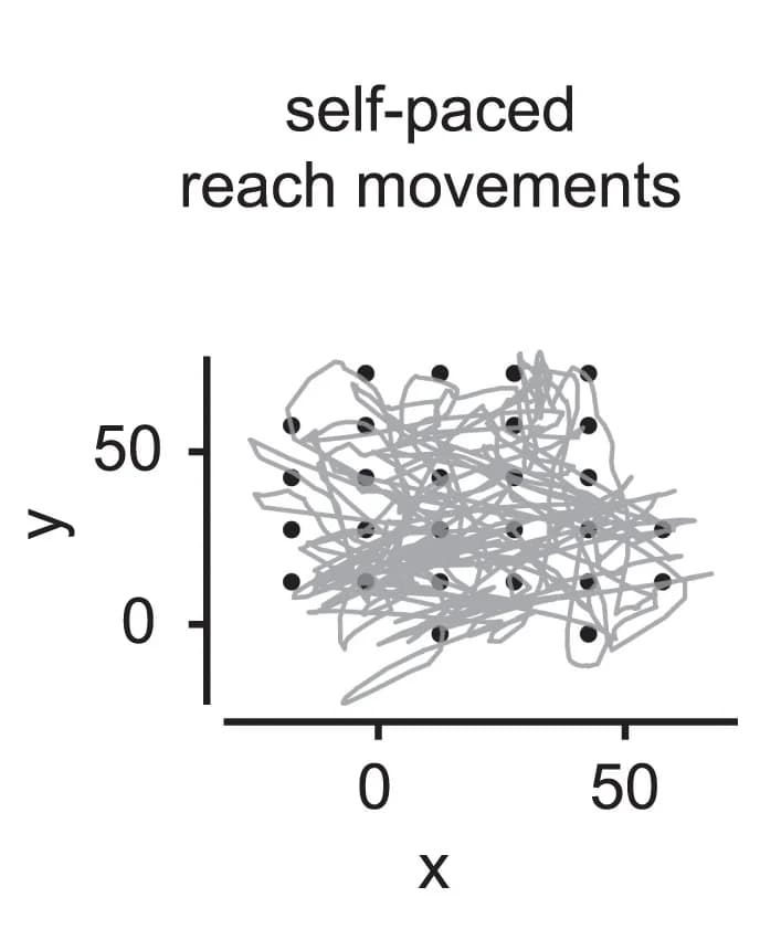 Open access visualization of Line Plot, Scatter Plot, Behavioral Trace, Reach Movements, Targets