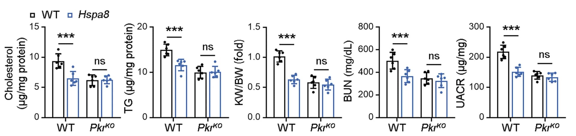 Open access visualization of Bar Plot, Error Bars, Clustered, Scatter Plot, Cholesterol