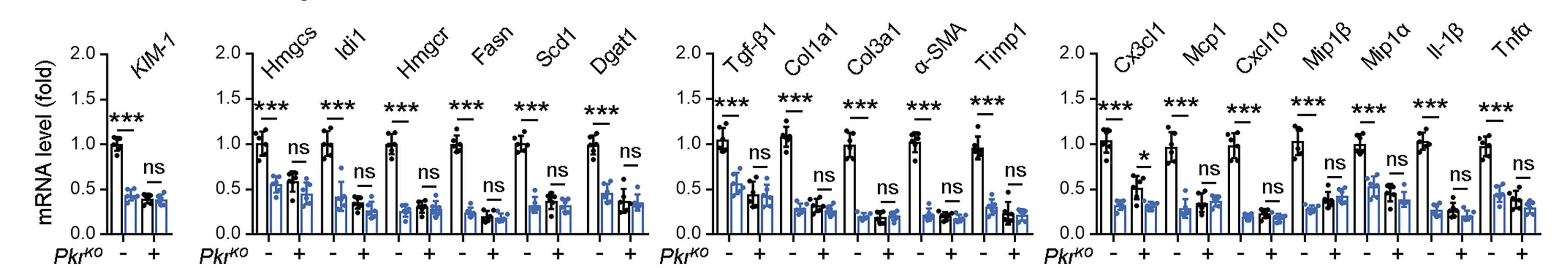 Open access visualization of Bar Plot, Error Bars, Scatter Plot, mRNA, KIM-1