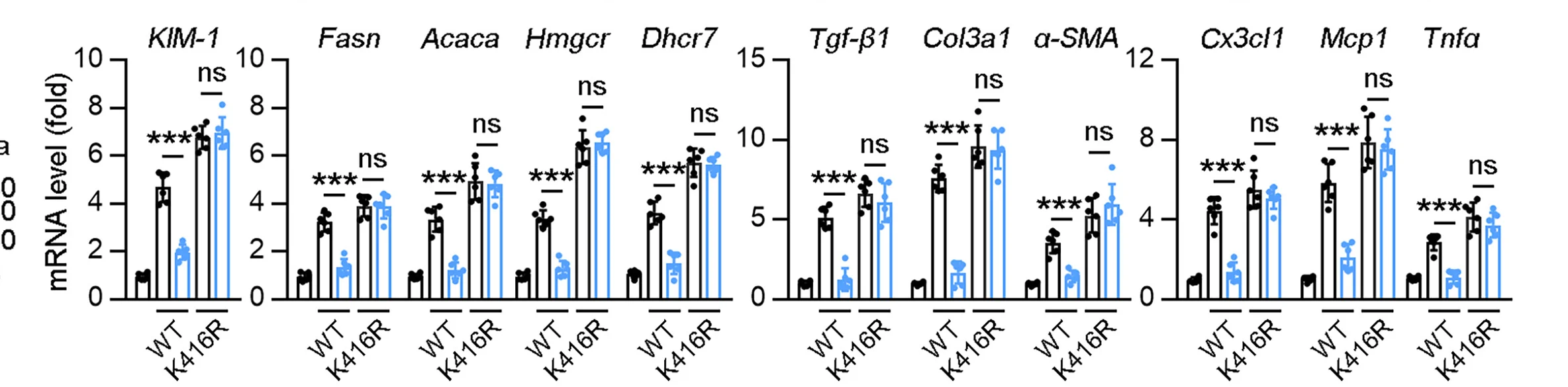 Open access visualization of Bar Plot, Error Bars, Scatter Plot, mRNA Level, KIM-1