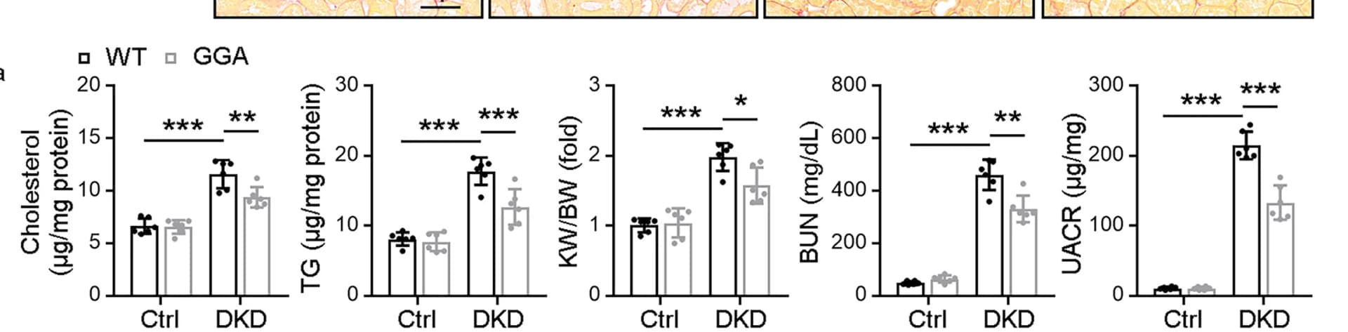 Open access visualization of Bar Plot, Error Bars, Cholesterol, Triglycerides, Kidney