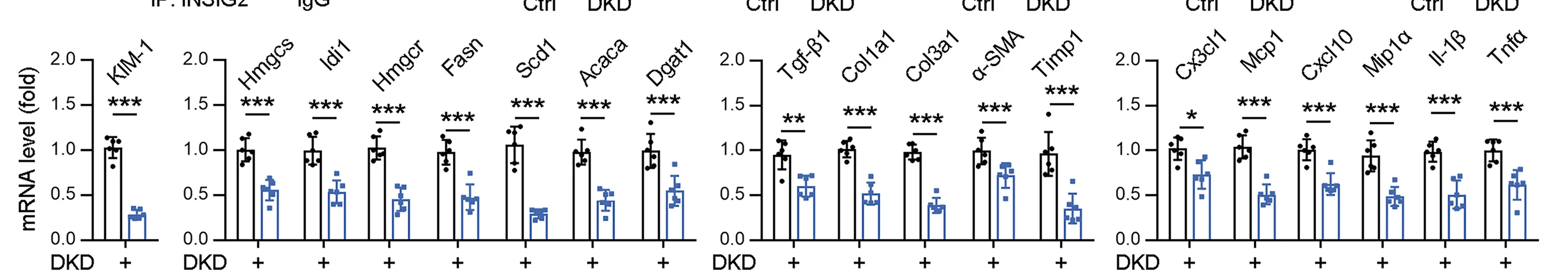 Open access visualization of Bar Plot, Error Bars, Scatter Plot, mRNA, KIM-1