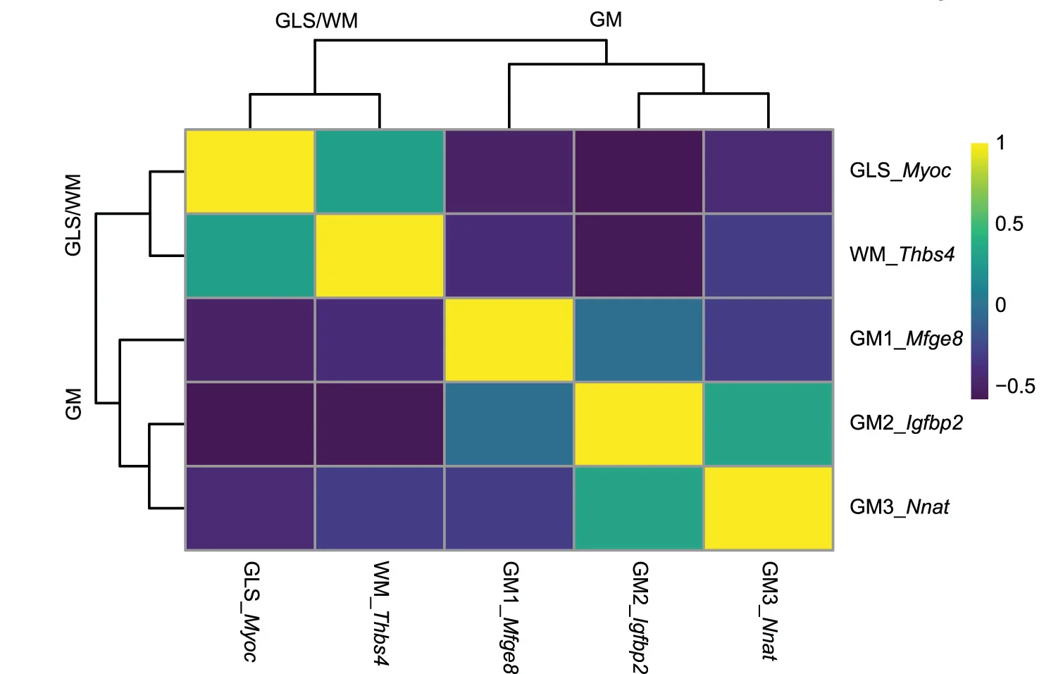 Open access visualization of Heatmap, Clustered, Similarity Matrix, Multidimensional Scaling, Myocilin