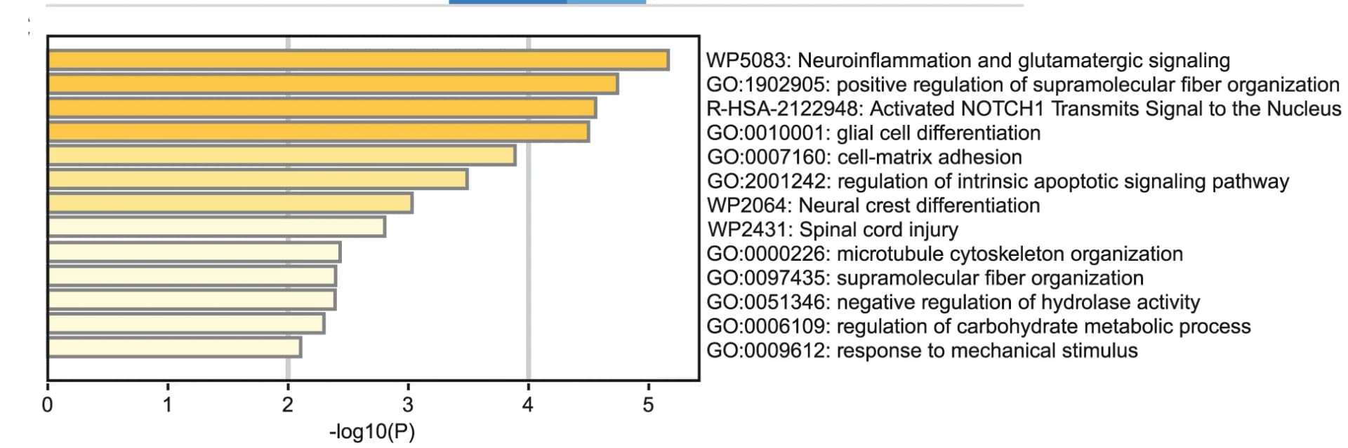 Open access visualization of Bar Plot, snRNA-seq, GO Term Analysis, Transcriptomic Identity, MYOC+ Astrocytes