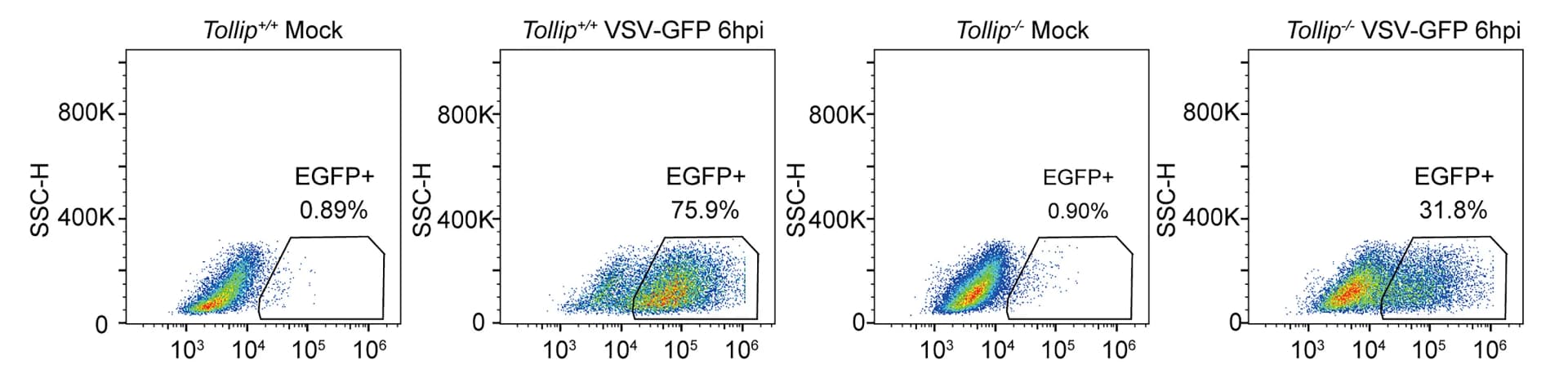 Open access visualization of Scatter Plot, Flow Cytometry Analysis, VSV-GFP Replication, Tollip+/+ Peritoneal Macrophages, Tollip-/- Peritoneal Macrophages