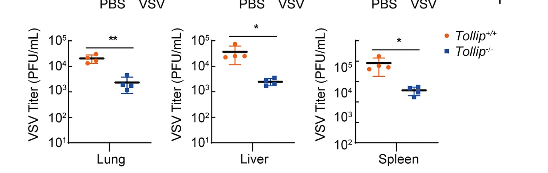 Open access visualization of Scatter Plot, Error Bars, Plaque Assay, VSV Titers, Lung