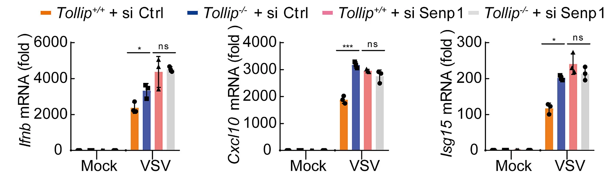 Open access visualization of Bar Plot, Error Bars, Scatter Plot, RT-qPCR, Ifnb