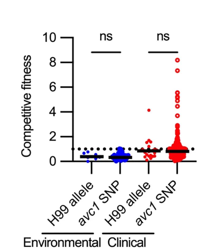Open access visualization of Violin Plot, Box Plot, Scatter Plot, Isolates, Clinical Strains