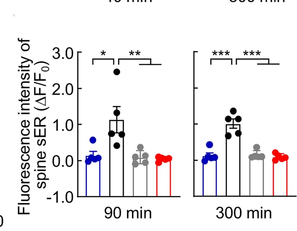 Open access visualization of Bar Plot, Error Bars, sER, Glutamate Uncaging, ANOVA