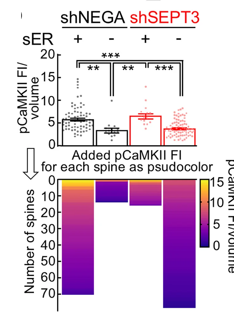Open access visualization of Bar Plot, Scatter Plot, Error Bars, Heatmap, Fluorescence Intensity