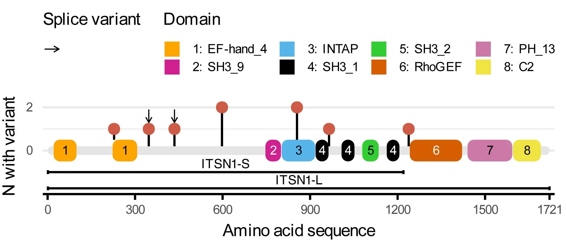 Open access visualization of Line Plot, Scatter Plot, Lollipop Plot, ITSN1, Protein-Truncating Variants