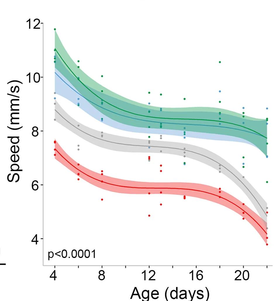 Open access visualization of Line Plot, Scatter Plot, Error Bars, Motor Performance, Speed