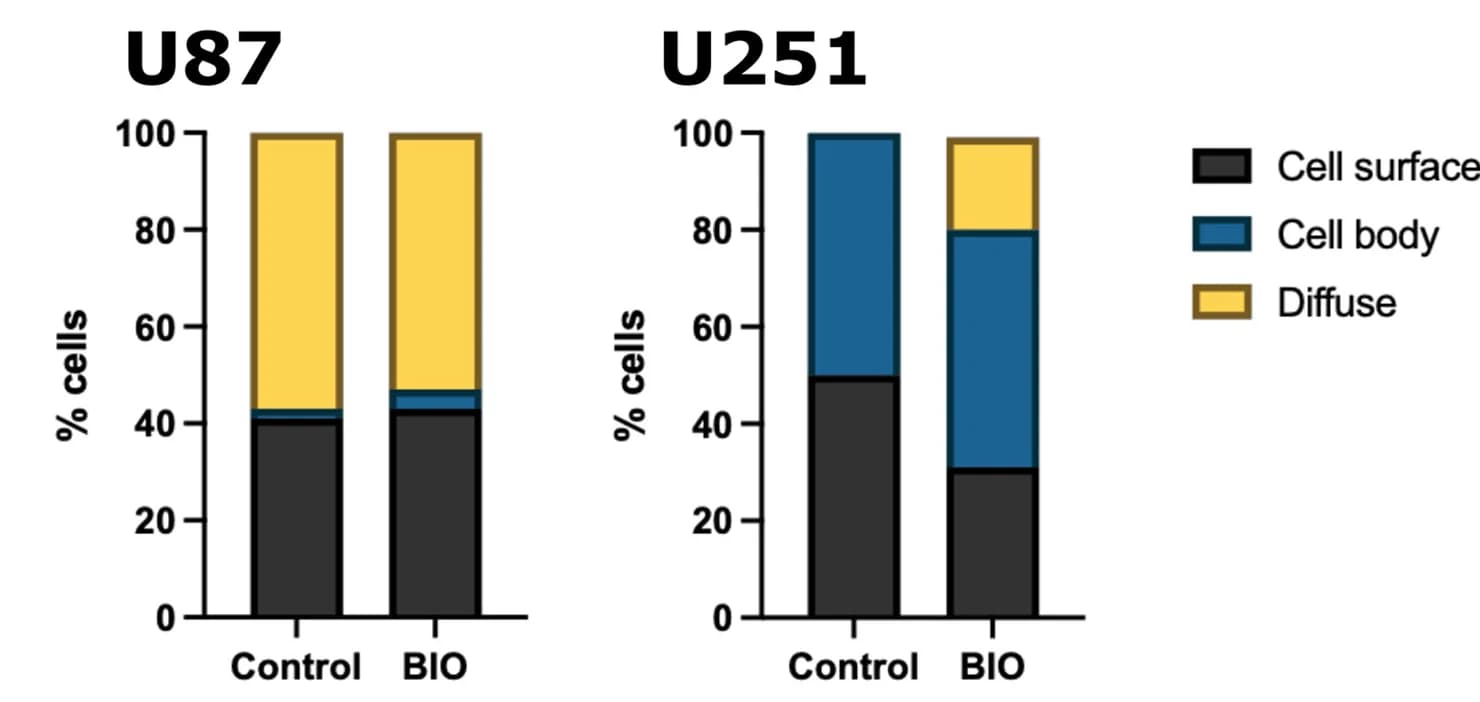 Open access visualization of Stacked Bar Plot, Actin, Focal Adhesion, Phenotypes, Control Cells